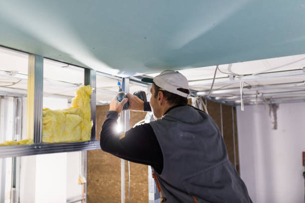 Best Fiberglass Insulation in Roxana, IL