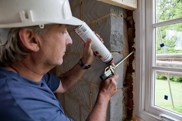Best Eco-Friendly Insulation in Roxana, IL