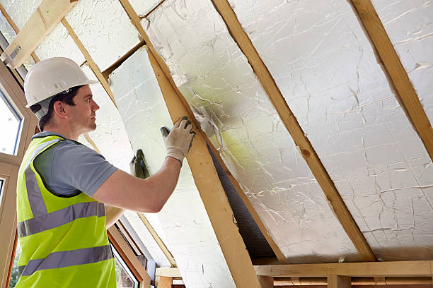 Best Insulation Maintenance and Repair in Roxana, IL
