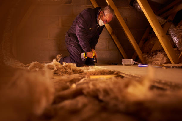 Best Geographic-Specific Insulation Services in Roxana, IL
